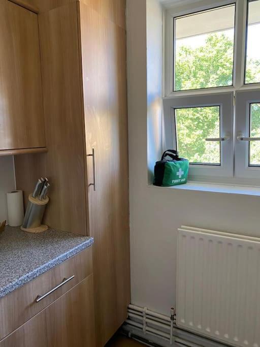Lovely 2 Bedroom Flat In Greater London Eksteriør billede